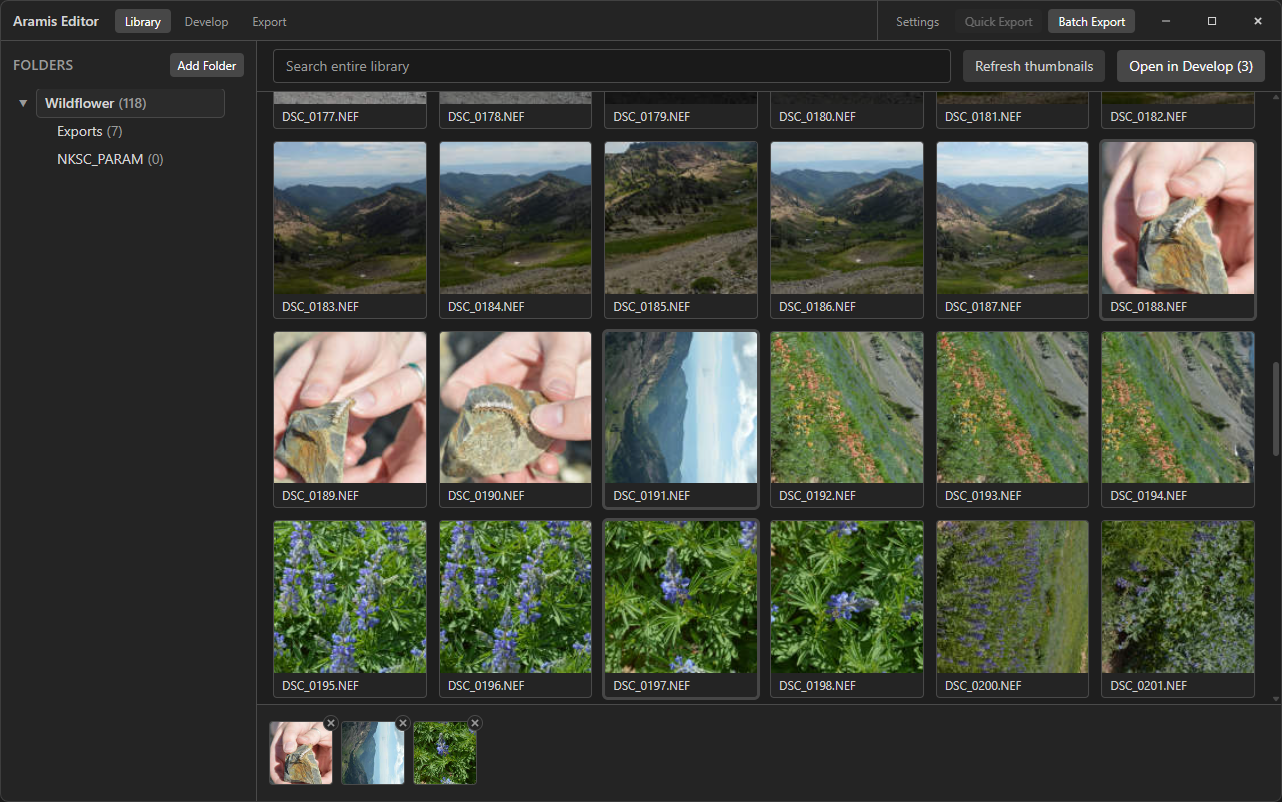 Library view with folder tree and photo grid