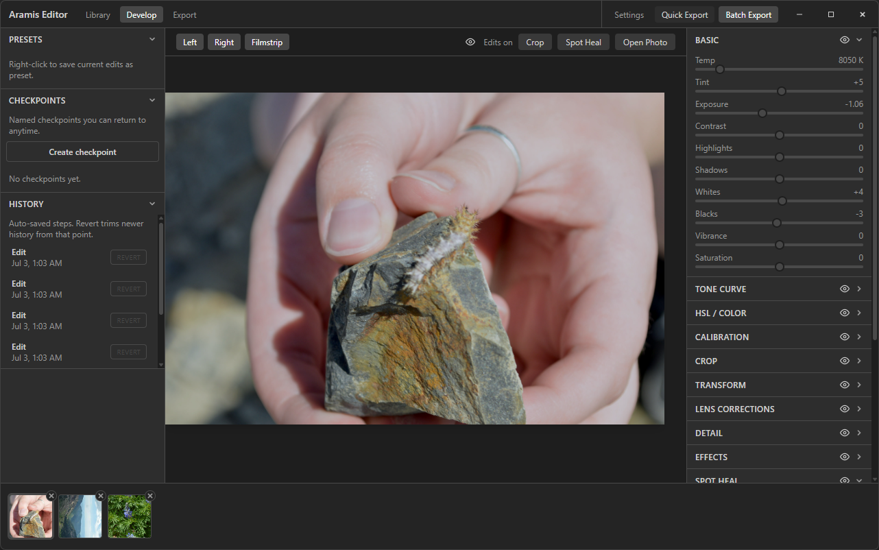 Develop view with editing panels and photo preview