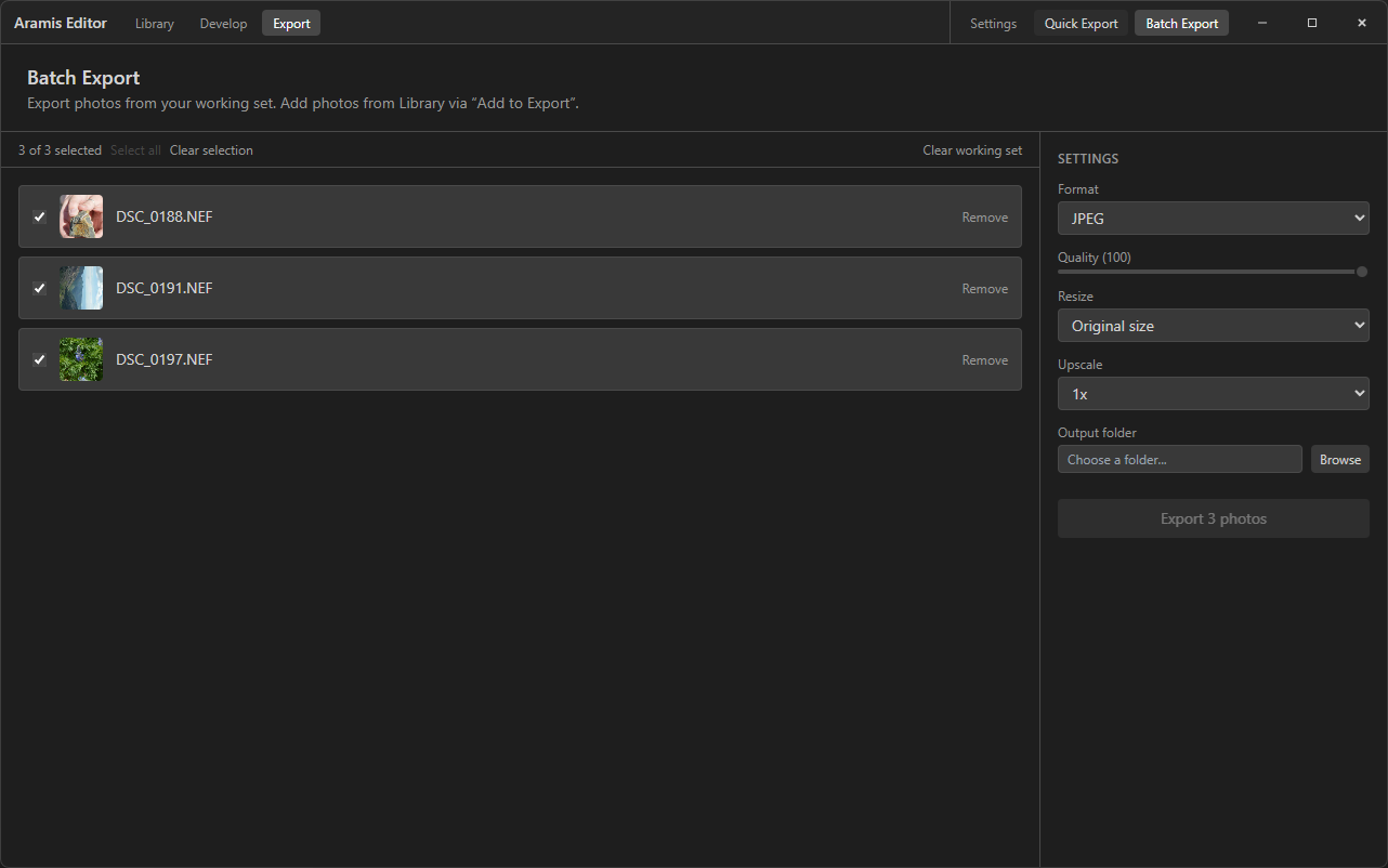 Export view with batch export queue and settings